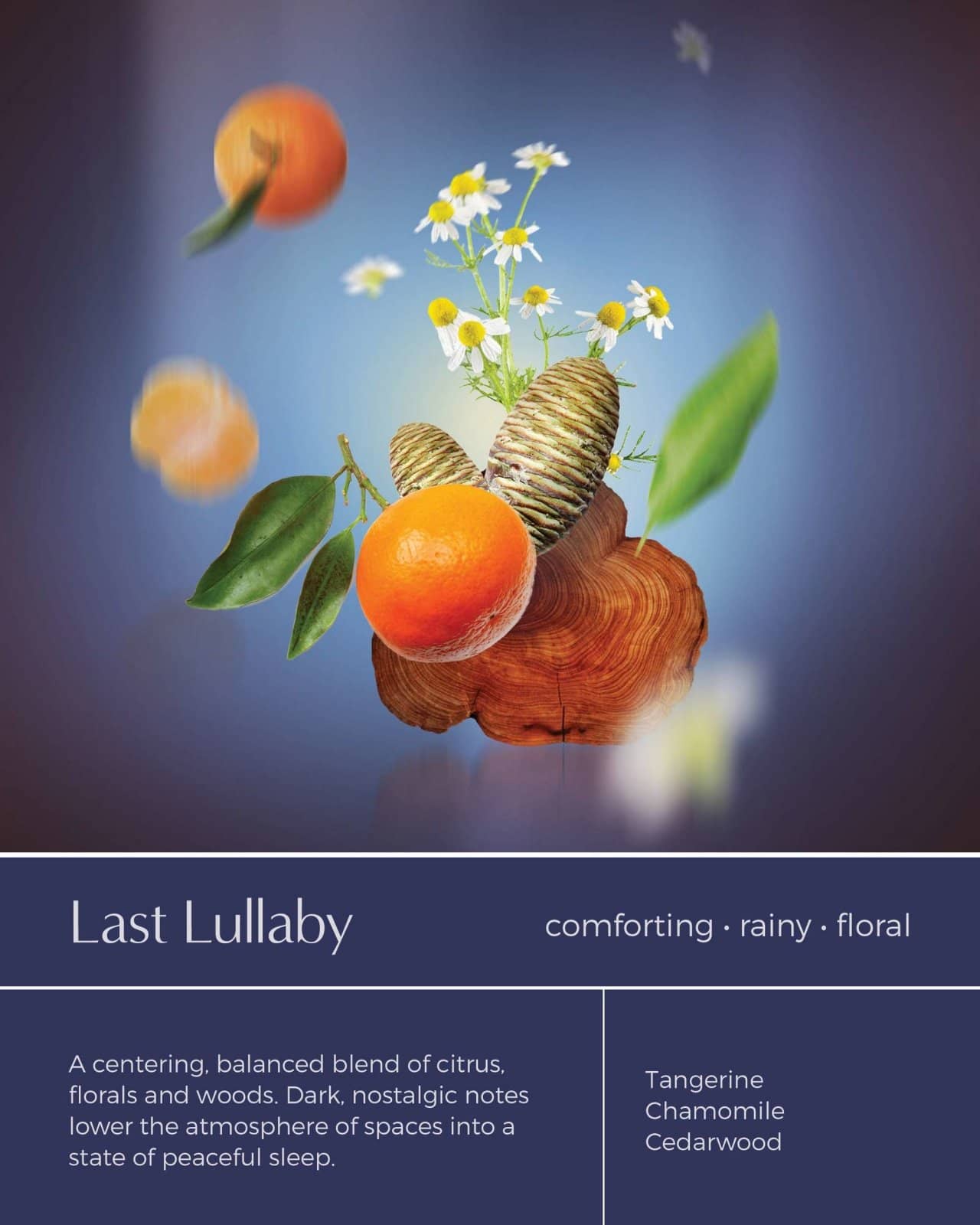 Enough Lux: A Ritual of Soothe & Calm