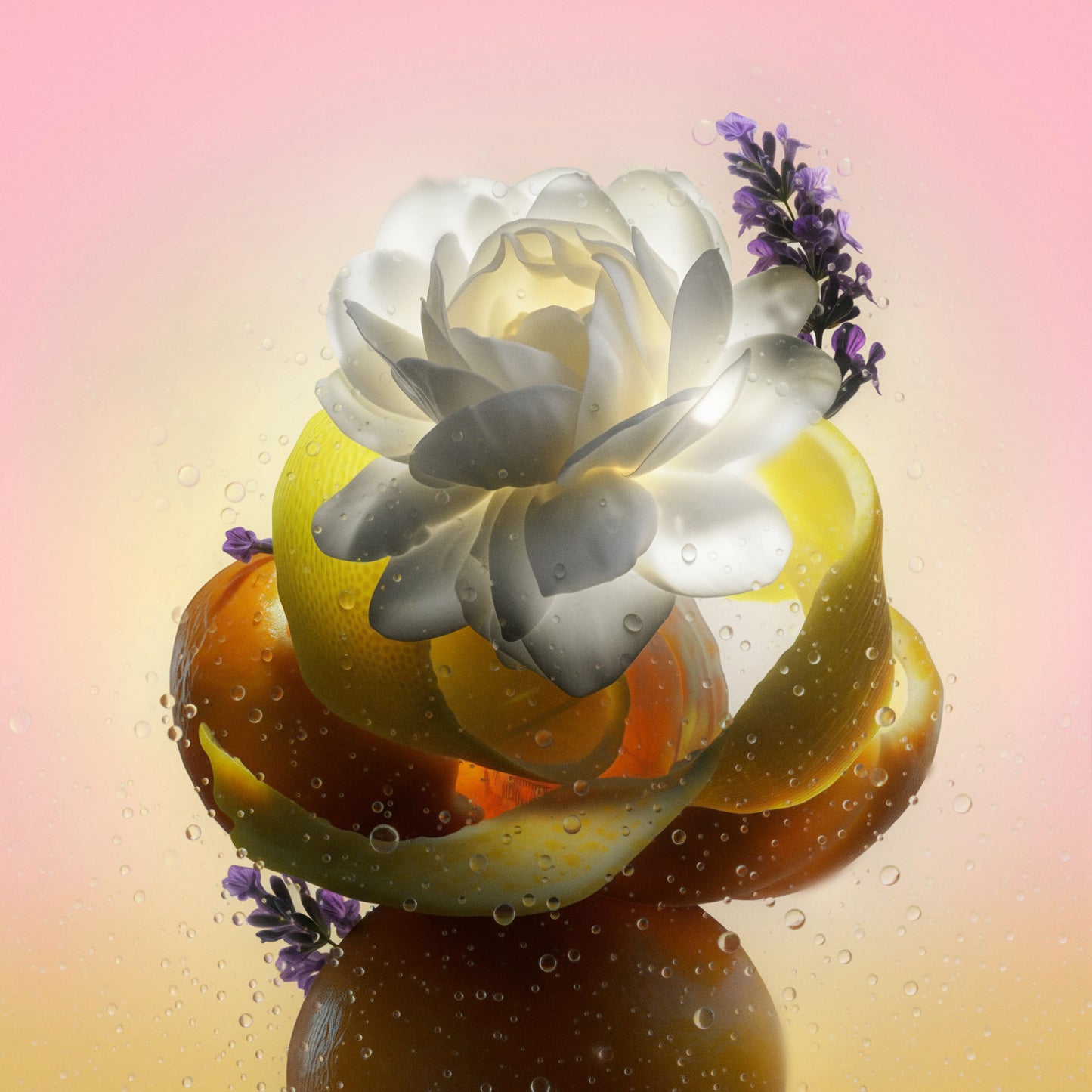 Simple Citrus: A Sicilian Serenade 10PK
