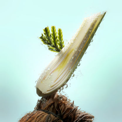 Spring Stream: Lemongrass Renewal 5PK